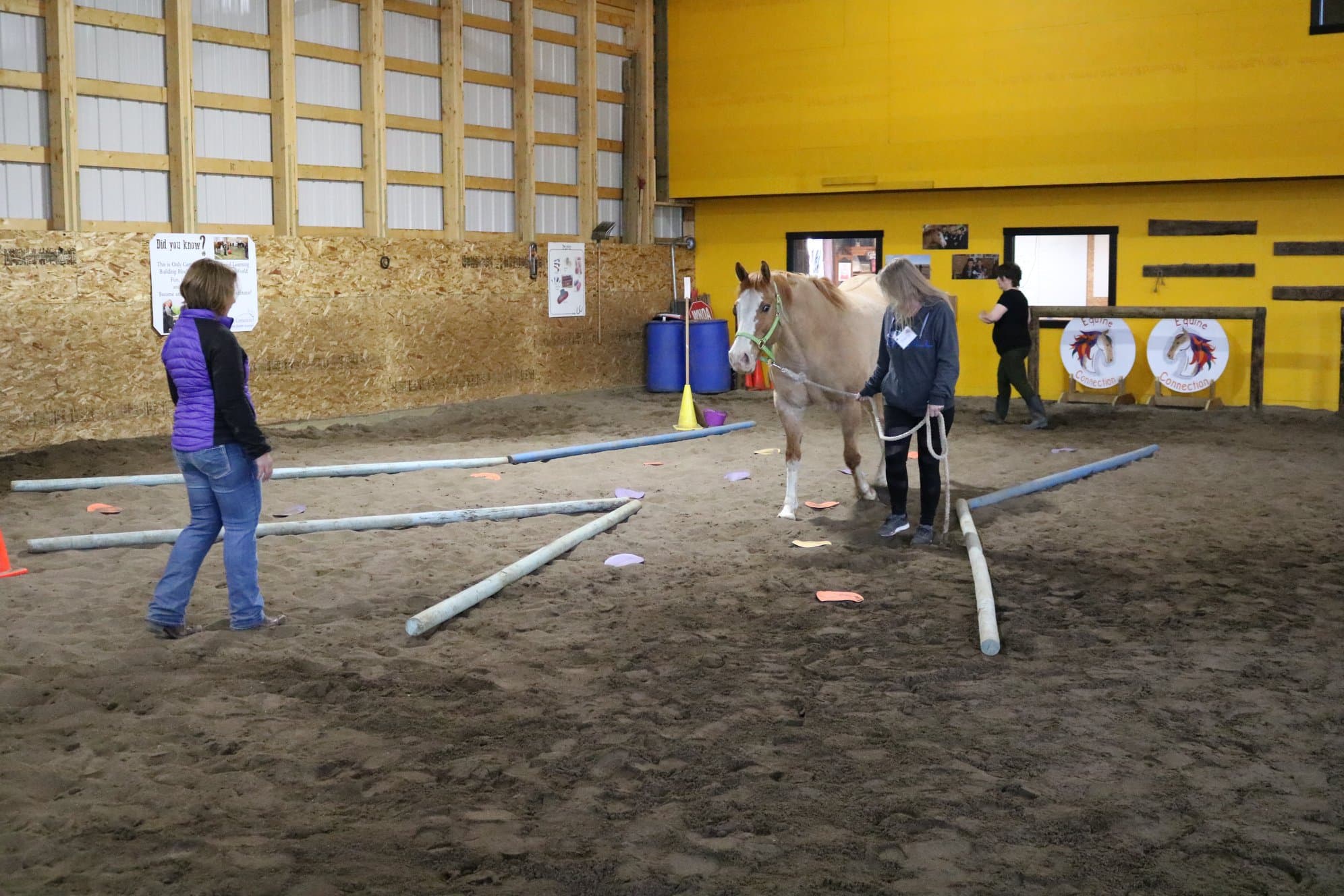 A learning session in the arena