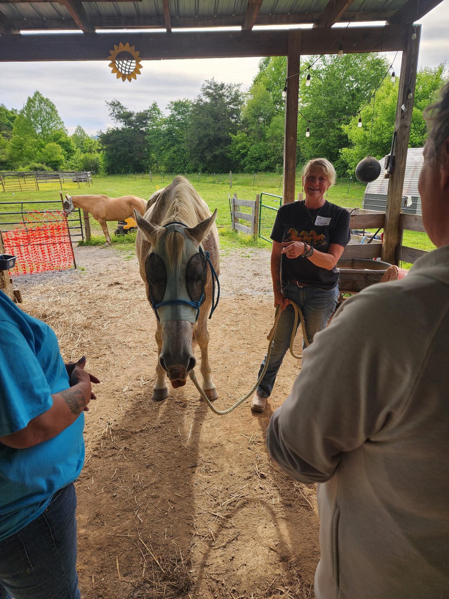 Leading a horse through a ground activity