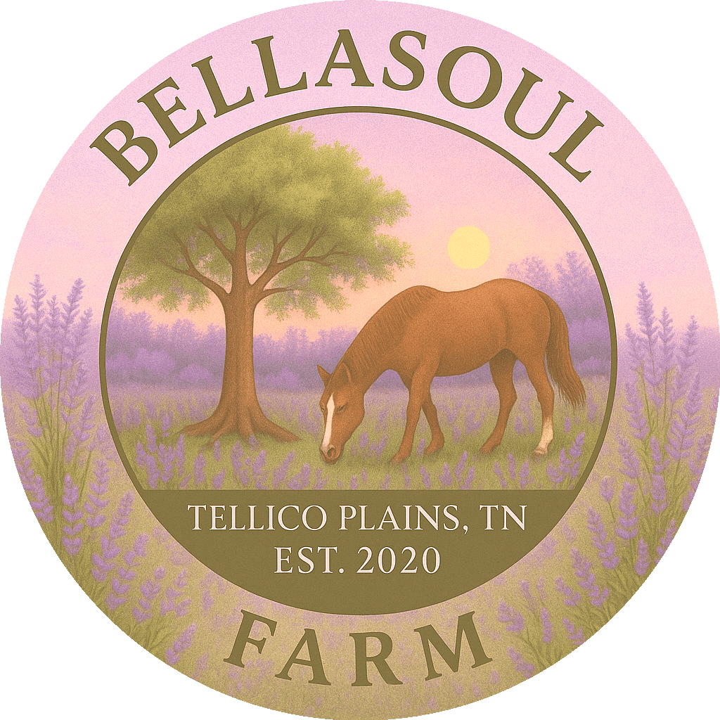 BellaSoul Farm