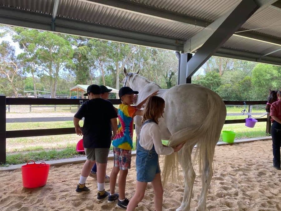 Children gently grooming a white horse together at the farm